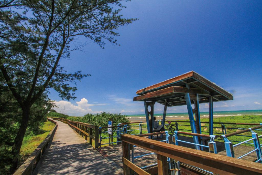 濱海森林公園實景照片